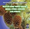 Watch Pine Trees Grow / ?Mira c?mo crecen los pinos!