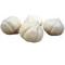 Garlic Handcarved / Knoblauch 5 pcs #600509
