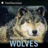 Wolves : Smithsonian