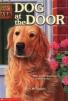 Animal Ark 25 : Dog at the Door