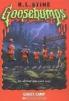 Goosebumps : Ghost Camp 
