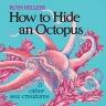 How to Hide an Octopus : And Other Sea Creatures