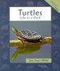 Turtles : Life in a Shell