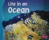 Life in an Ocean (Pebble Plus: Living in a Biome)