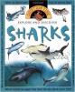 Sharks : Explore and Discover