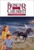 Boxcar Children (#077) : The Mystery of the Wild Ponies 
