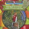 How Apple Trees Grow/ Como crecen los manzanos
