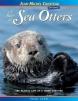 Raft of Sea Otters : The Playful Life of a Furry Survivor, A