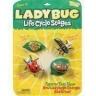 Ladybug Life Cycle Stages : 1 Unit (6090)