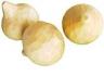 Onion White Handcarved / Zwiebel 5 pcs #600541
