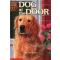 Animal Ark 25 : Dog at the Door