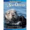 Raft of Sea Otters : The Playful Life of a Furry Survivor, A