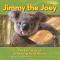 Jimmy the Joey: The True Story of an Amazing Koala Rescue 